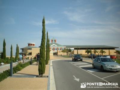 museo del vino de la dinastía Vivanco; rutas de senderismo por madrid